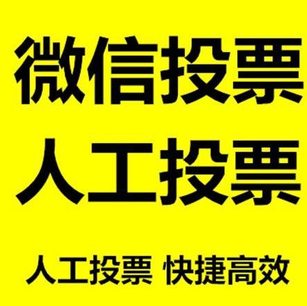 临夏回族自治州投票活动拉票能被查出来吗？如何操作能不被发现？